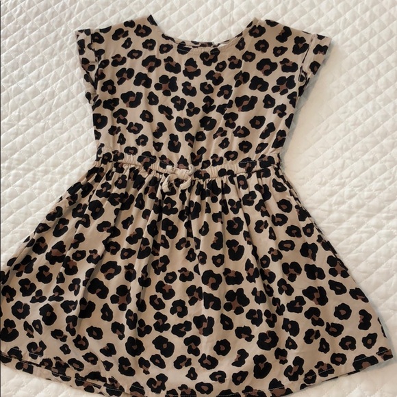 H&M Other - H&M cheetah skater dress